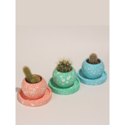Terrazo Yuvarlak Beton 3'Lü Tabaklı Saksı Set-Sukulent,Kaktüs Saksısı (Çiçeksiz)-(Set-4)