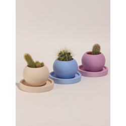 Renkli Dekoratif Yuvarlak Beton 3'Lü Tabaklı Saksı Set-Sukulent,Kaktüs Saksısı (Çiçeksiz) - (Set-7)