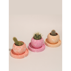 Terrazo Yuvarlak Beton 3'Lü Tabaklı Saksı Set-Sukulent,Kaktüs Saksısı (Çiçeksiz)-(Set-6)