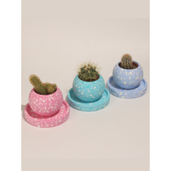 Terrazo Yuvarlak Beton 3'Lü Tabaklı Saksı Set-Sukulent,Kaktüs Saksısı (Çiçeksiz)-(Set-2)