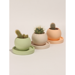 Renkli Dekoratif Yuvarlak Beton 3'Lü Tabaklı Saksı Set-Sukulent,Kaktüs Saksısı (Çiçeksiz) - (Set-1)