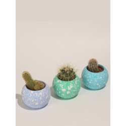 Yuvarlak Beton 3'Lü Terrazo Saksı Set-Sukulent,Kaktüs Saksısı (Çiçeksiz) - (Set-7) -(atel 1716)