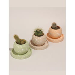 Terrazo Yuvarlak Beton 3'Lü Tabaklı Saksı Set-Sukulent,Kaktüs Saksısı (Çiçeksiz)-(Set-1)