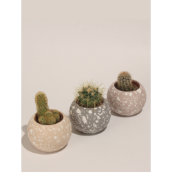 Yuvarlak Beton 3'Lü Terrazo Saksı Set-Sukulent,Kaktüs Saksısı (Çiçeksiz) - (Set-5)