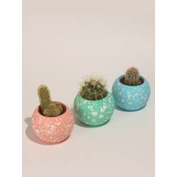 Yuvarlak Beton 3'Lü Terrazo Saksı Set-Sukulent,Kaktüs Saksısı (Çiçeksiz) - (Set-4)