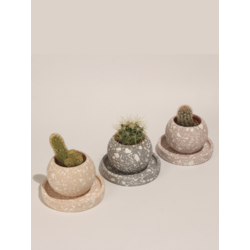 Terrazo Yuvarlak Beton 3'Lü Tabaklı Saksı Set-Sukulent,Kaktüs Saksısı (Çiçeksiz)-(Set-5)