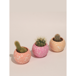 Yuvarlak Beton 3'Lü Terrazo Saksı Set-Sukulent,Kaktüs Saksısı (Çiçeksiz) - (Set-6)