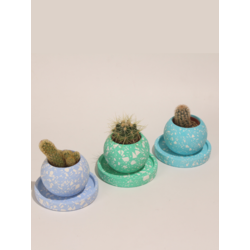Terrazo Yuvarlak Beton 3'Lü Tabaklı Saksı Set-Sukulent,Kaktüs Saksısı (Çiçeksiz)-(Set-7)
