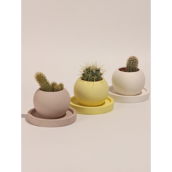 Renkli Dekoratif Yuvarlak Beton 3'Lü Tabaklı Saksı Set-Sukulent,Kaktüs Saksısı (Çiçeksiz) - (Set-6)
