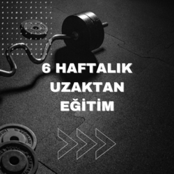 6 HAFTALIK PLAN