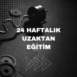 24 HAFTALIK PLAN