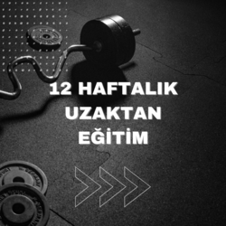 12 HAFTALIK PLAN