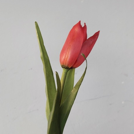 TULIP (artificial) Made to order item Gassal Tabii series prop
