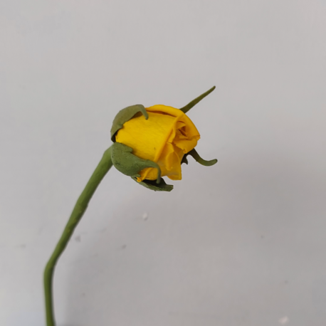 ROSE (artificial) Made to order 