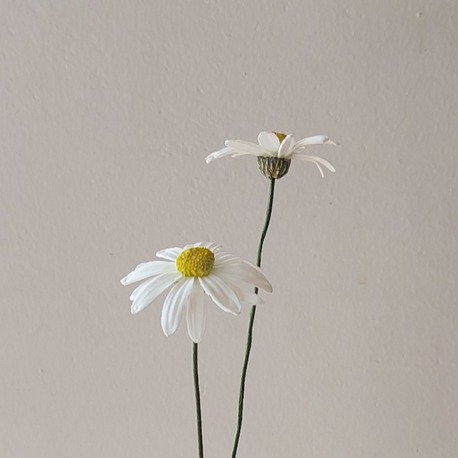 DAISY (artificial) Made to order Gassal Tabii serises prop