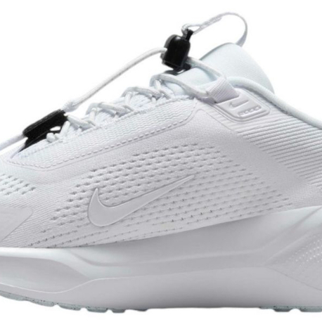 Nike Pegasus easy on