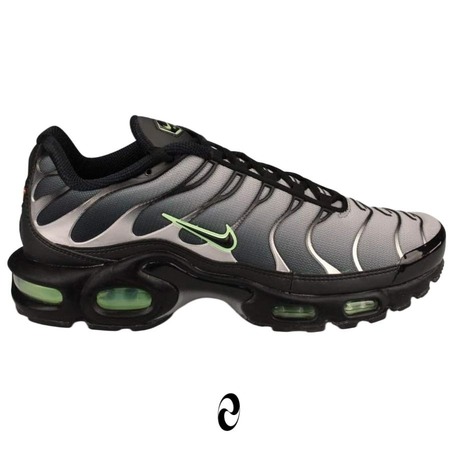 Nike Air Max Plus TN Siyah
