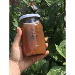 kozalak şurubu (370cc) şekerli