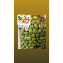 yeşil çizik zeytin (Gemlik)