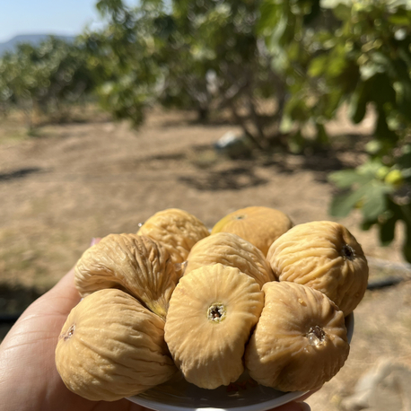 Büyük boy incir (5 kg)