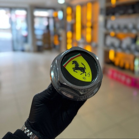 TOFAŞ DEPO KAPAĞI ( SARI SİYAH FERRARİ )