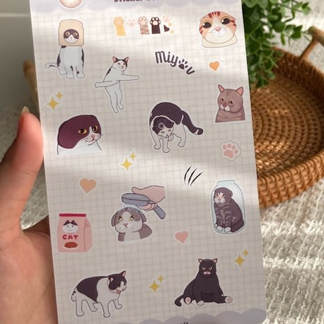 Cat Meme Sticker Seti