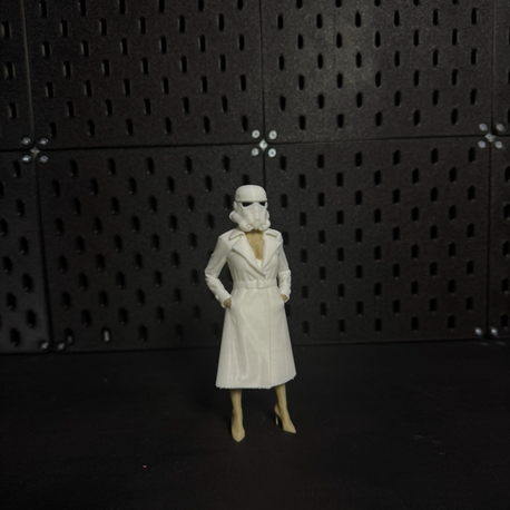 Stormtrooper Secretary 
