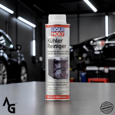 LIQUI MOLY Radyatör & Soğutma Sistemi Temizleyici 300 ML
