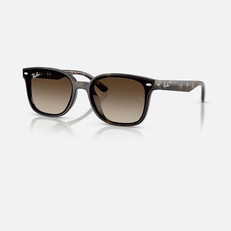 Ray-Ban RB4461D 710/13 64