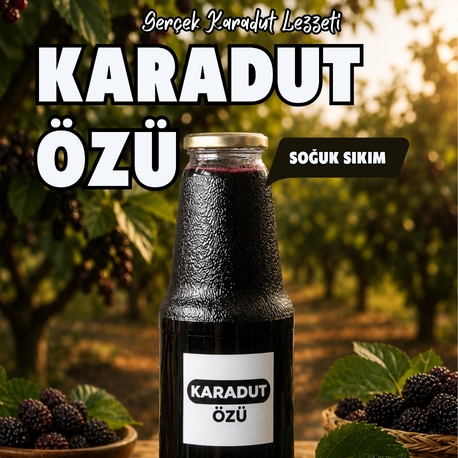 KARADUT ÖZÜ 1400 ML