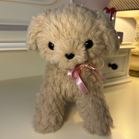 Yavru köpek 