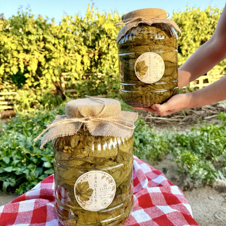 3 x 5 L Bağlıca Yaprak Salamura Asma Yaprağı