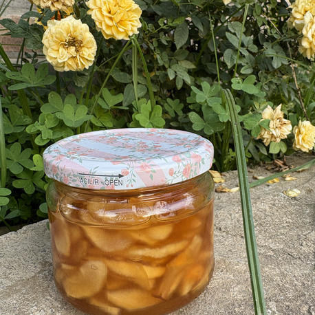Elma reçeli(Amasya elması) 