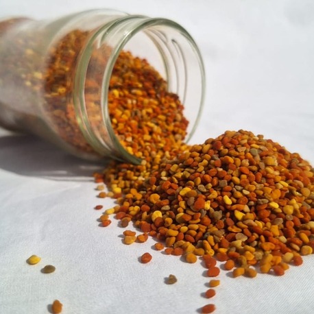 SAPANCA YAŞ POLEN / 320 cc net 200 gr