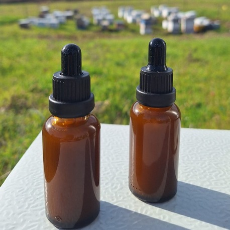SAPANCA DOĞAL ZEYTİNYAĞ BAZLI PROPOLİS 30 ML 