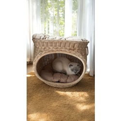 Rattan Kedi Evi