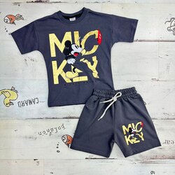 Zara Mickey Takım