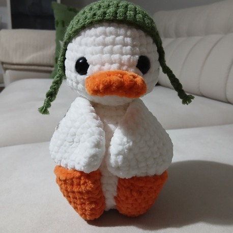 Pilot Ördek