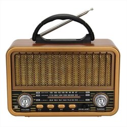 Everton Nostalji Radyo Müzik Çalar 