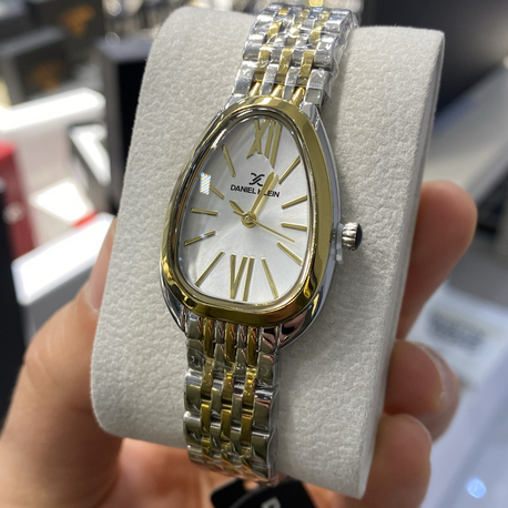 Daniel Klein Premium Kadın Kol Saati Domeglass Cam