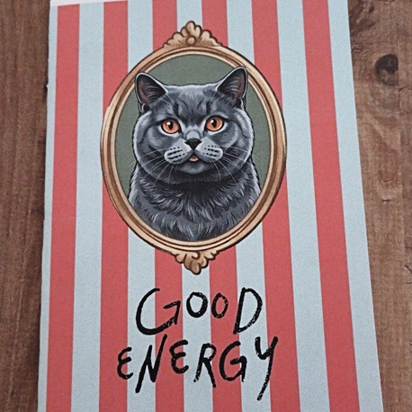 Kedi Defter