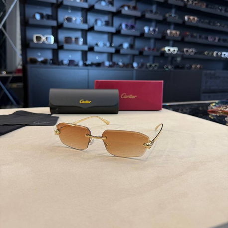 Cartier İthal Sunglasses