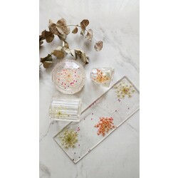 Düzenleyici Set
