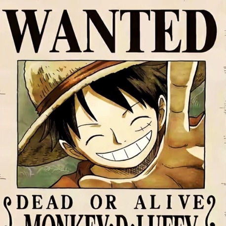 One Piece Wanted Poster