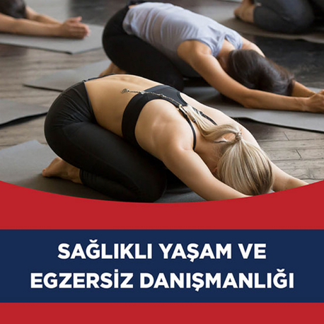 Sağlıklı Yaşam ve Egzersiz Danışmanlığı (1 seans) (Ankara)