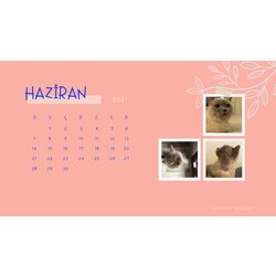 Be Kind To Be Takvim Haziran 