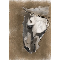 A Horse with No Name