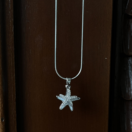 deniz yıldızı kolye silver
