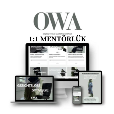 1-1 Mentörlük 