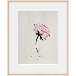 Pembe Gül